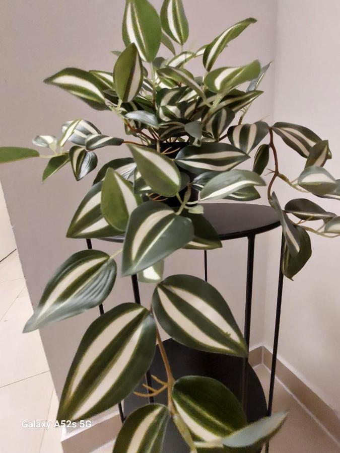 Appartement Am Uni Park Koeln Suelz Esterno foto